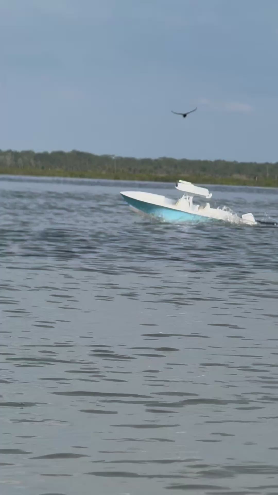 TMRC SeaVee 322Z stl pack – Tremendous Marine RC
